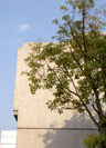 Square one外観-2